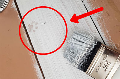 Can You Use Wall Paint On Wood?
