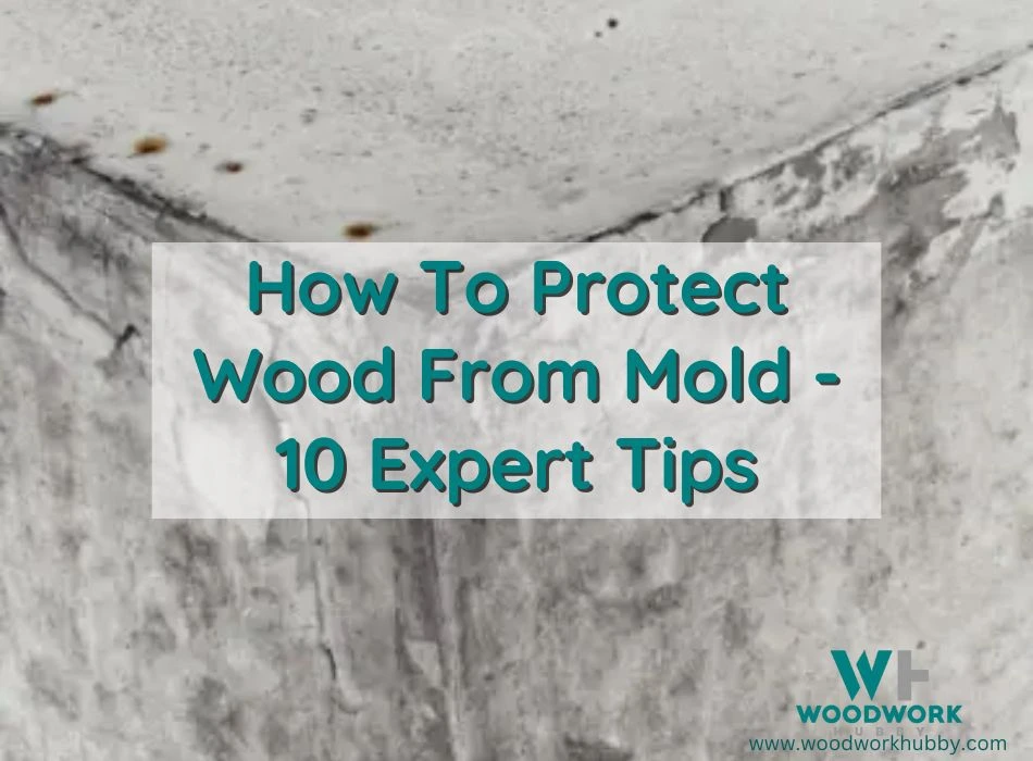 how to protect wood from mold