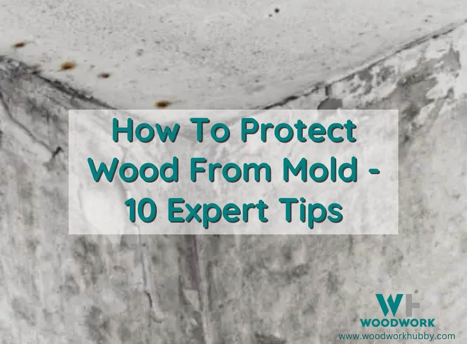 How To Protect Wood From Mold – 10 Expert Tips