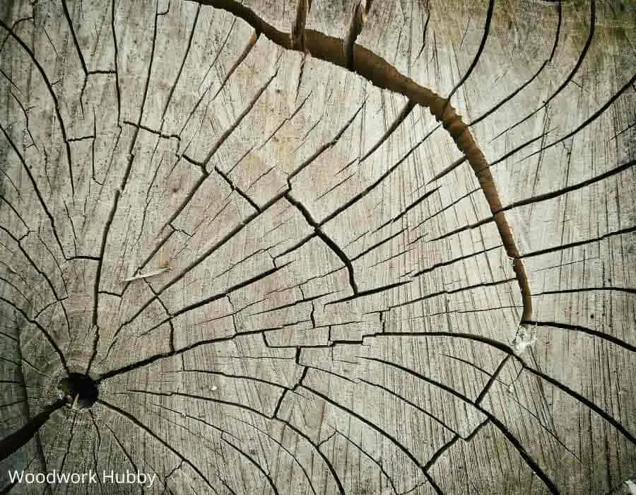 Can Wood Be Too Dry For Woodworking? 2 Can wood be too dry for woodworking