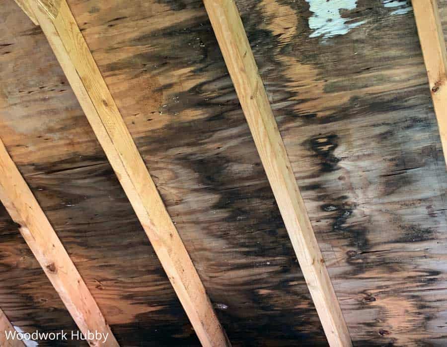 How to protect wood from mold