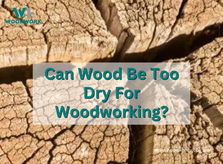 Wood Can Be Too Dry For Woodworking
