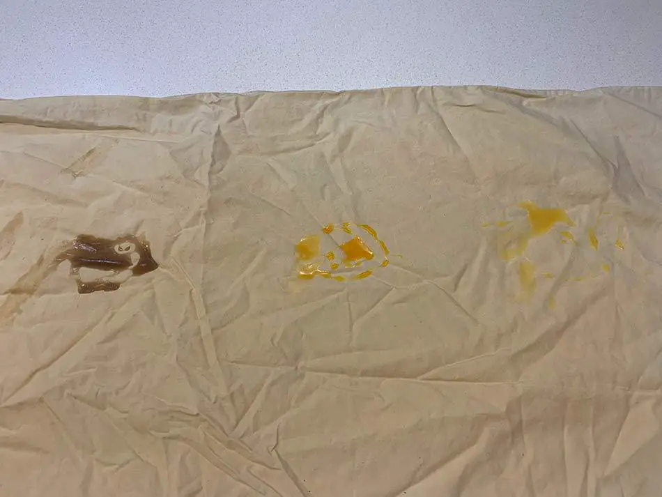 Will Titebond Wood Glue Wash Out Of Clothes? We Tested It 5 Dried Titebond wood glue