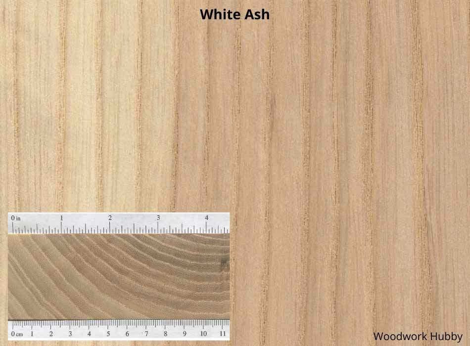 The 10 Best Woods To Make A Workbench 4 wood for workbench