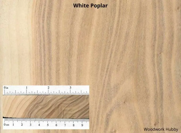 The 10 Best Woods To Make A Workbench