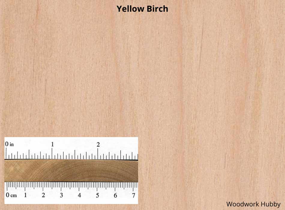 The 10 Best Woods To Make A Workbench 6 wood for workbench