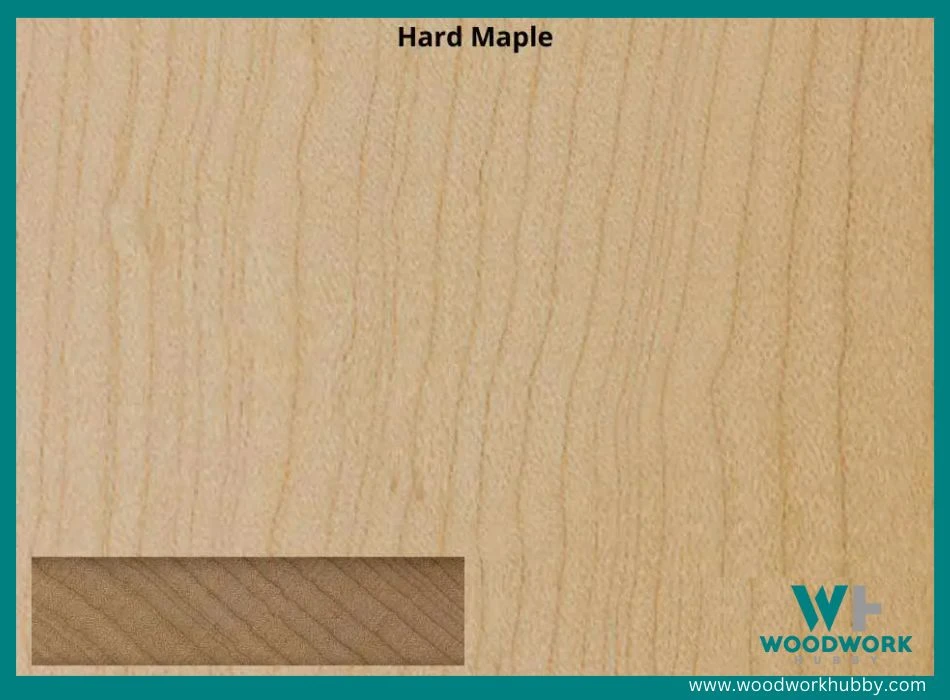 hard maple