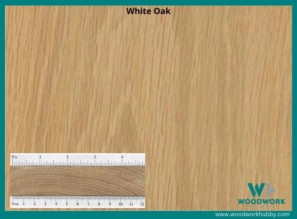 The 10 Best Woods To Make A Workbench 7 white oak