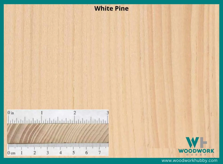 white pine