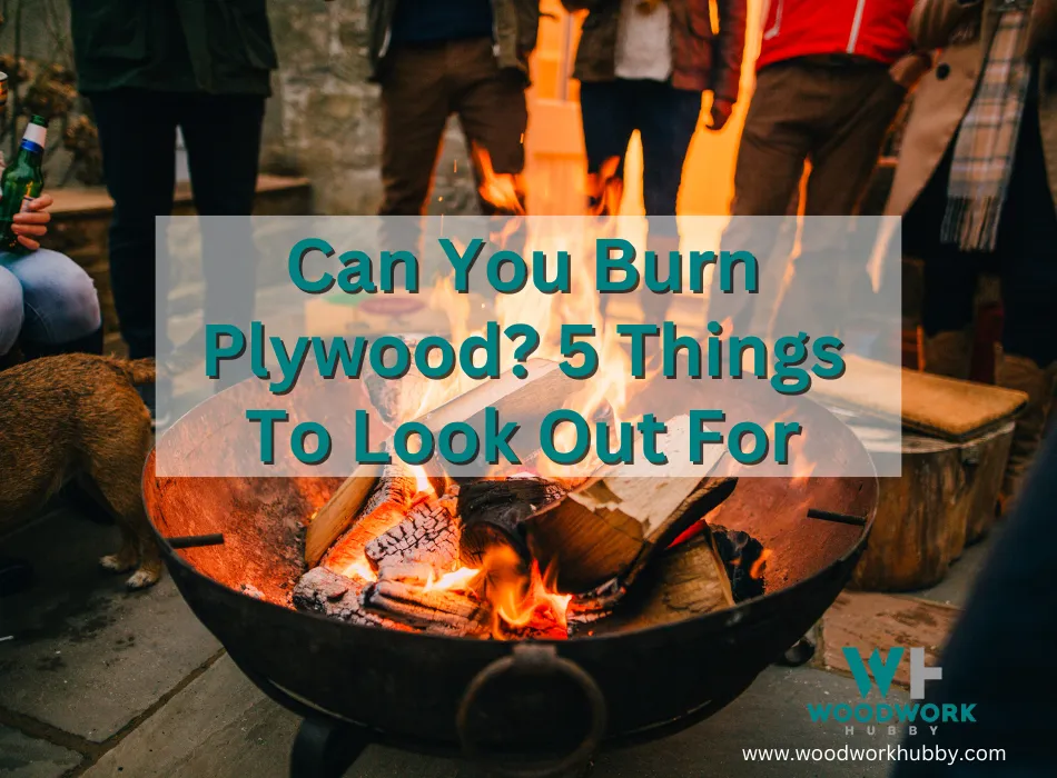 Can You Burn Plywood? 5 Things To Look Out For