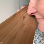 Does All Cedar Wood Smell? My Experience With Cedar