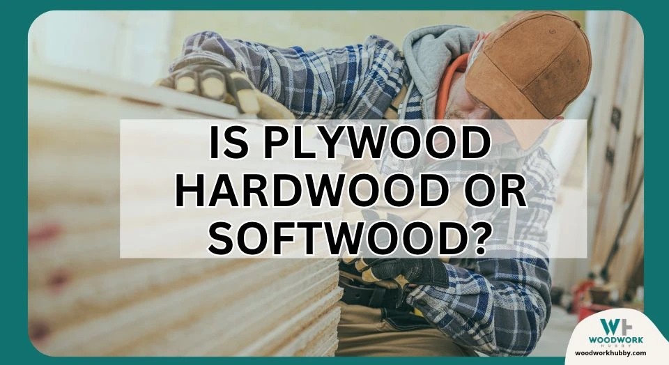 Plywood can be Hardwood or Softwood_