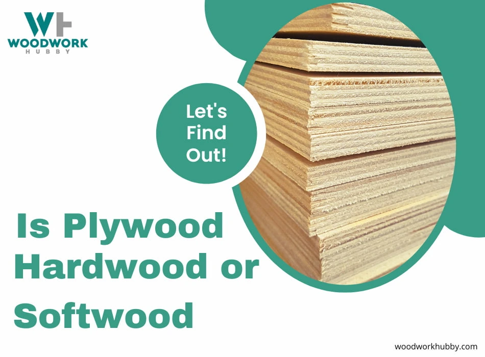 is plywood hardwood or softwood text with plywood sheets