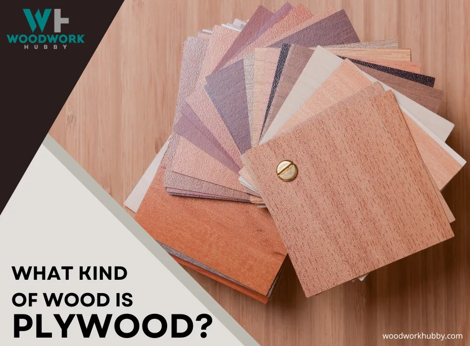 Is Plywood Hardwood or Softwood? 4 square pieces of different types of wood