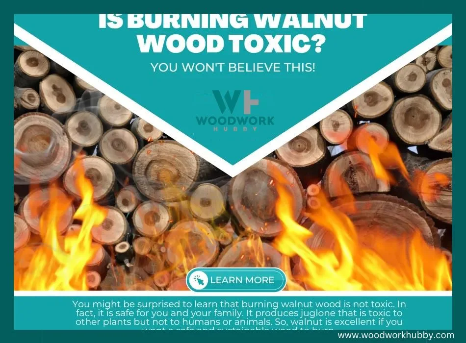Burning Walnut Wood is not Toxic