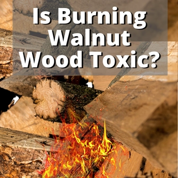Is Burning Walnut Wood Toxic? You Won’t Believe This!