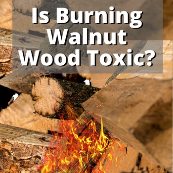 burning walnut wood