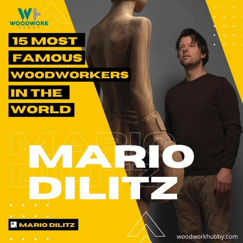 mario dilitz 