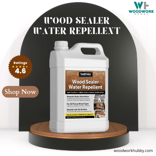 Can You Use Interior Wood Stain Outside? I Tried It 22 wood sealer water repellent