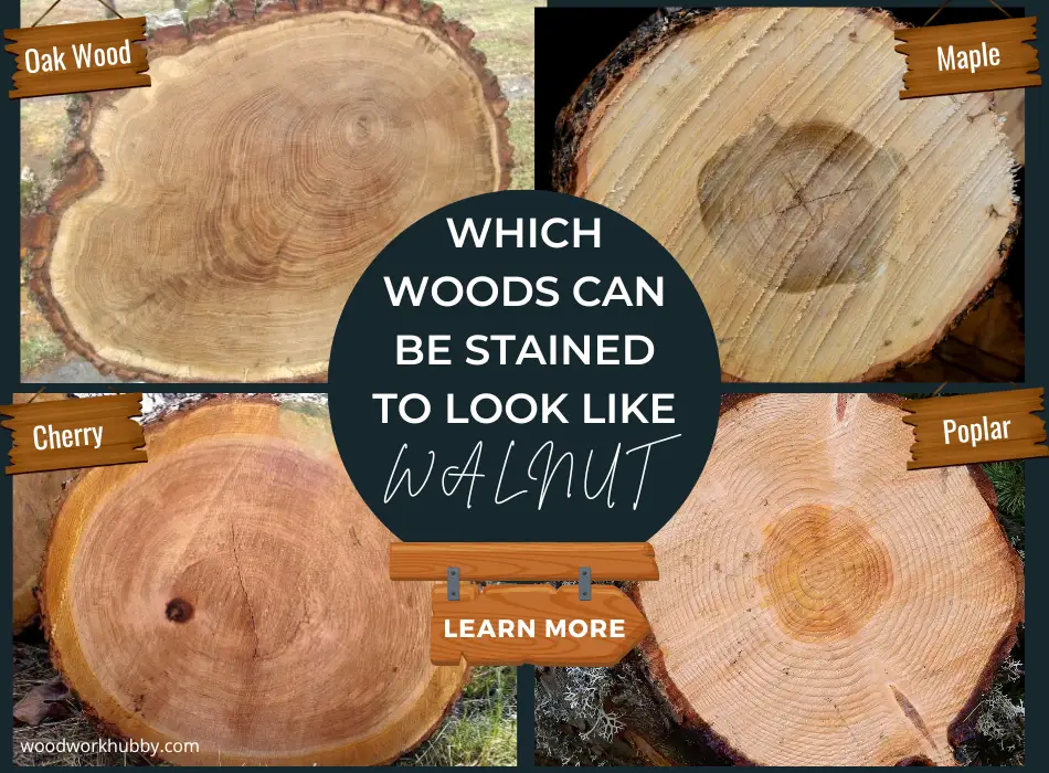 Which Woods Can Be Stained To Look Like Walnut? 17 wood that stains like walnut