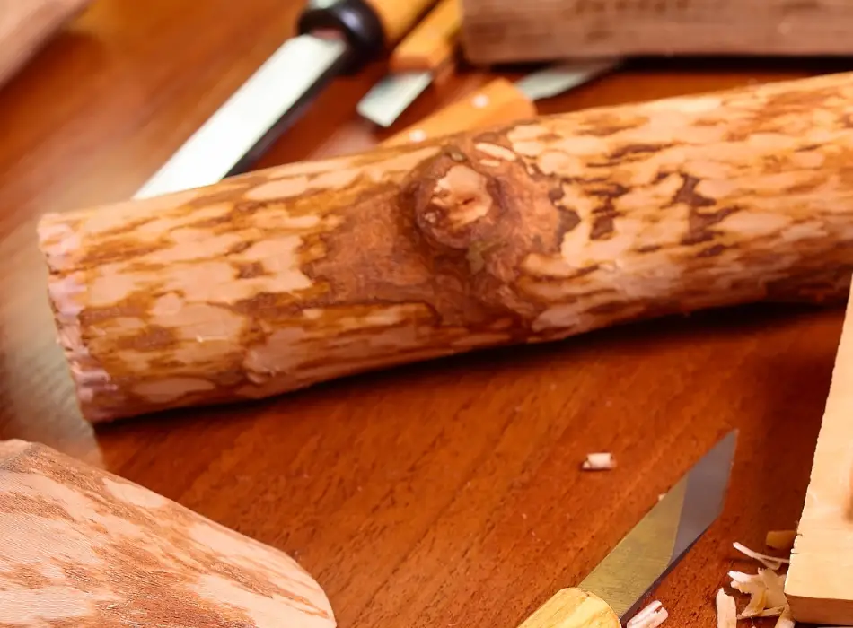 Image of a branch of wood for use in wood carving with a few tools  around it