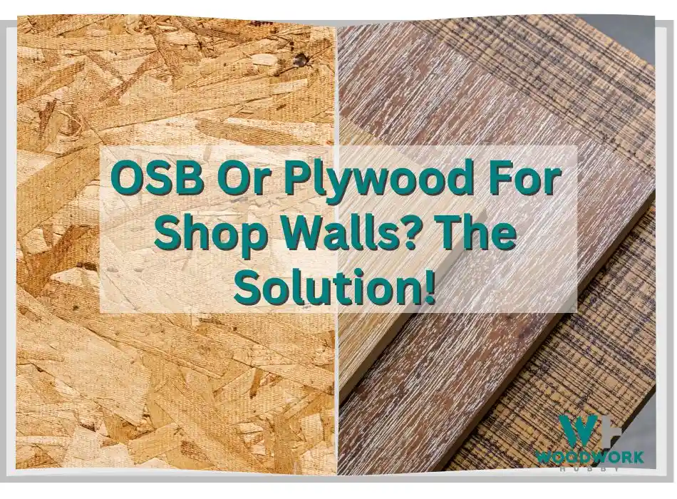OSB or Plywood for shop walls