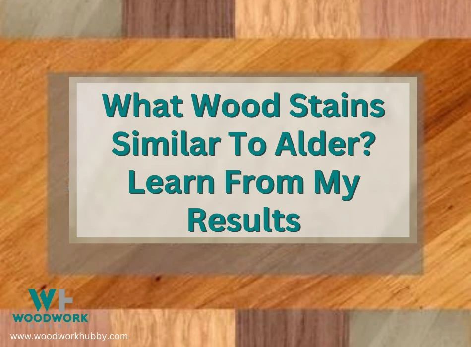 What Wood Stains Similar To Alder? Learn From My Results
