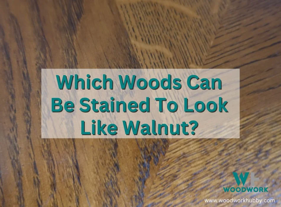 Which Woods Can Be Stained To Look Like Walnut?