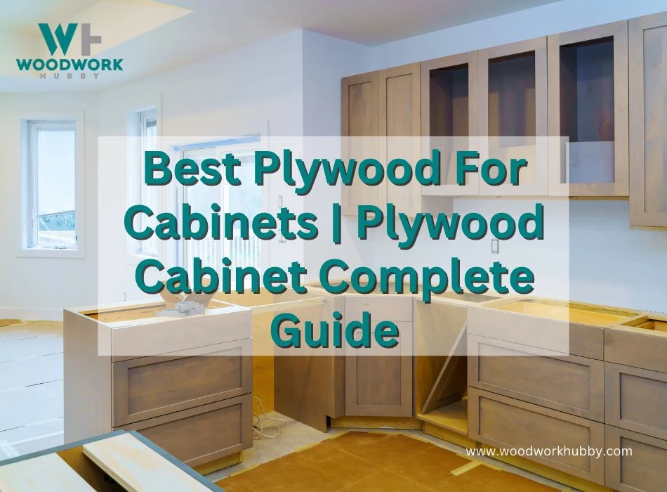 Best Plywood For Cabinets _ Plywood Cabinet