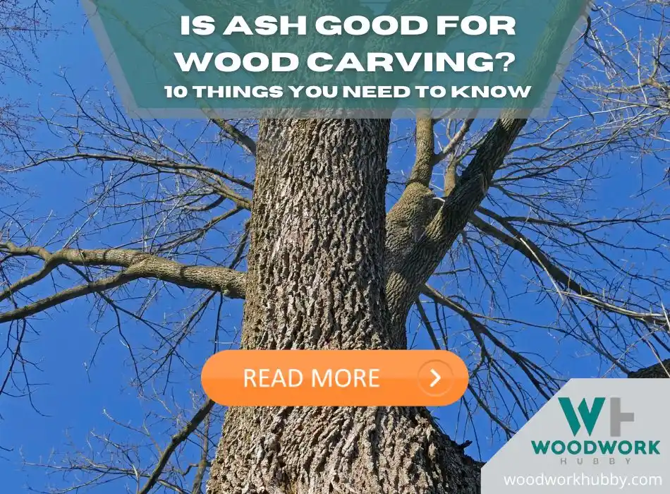 Is ash good for wood carving_