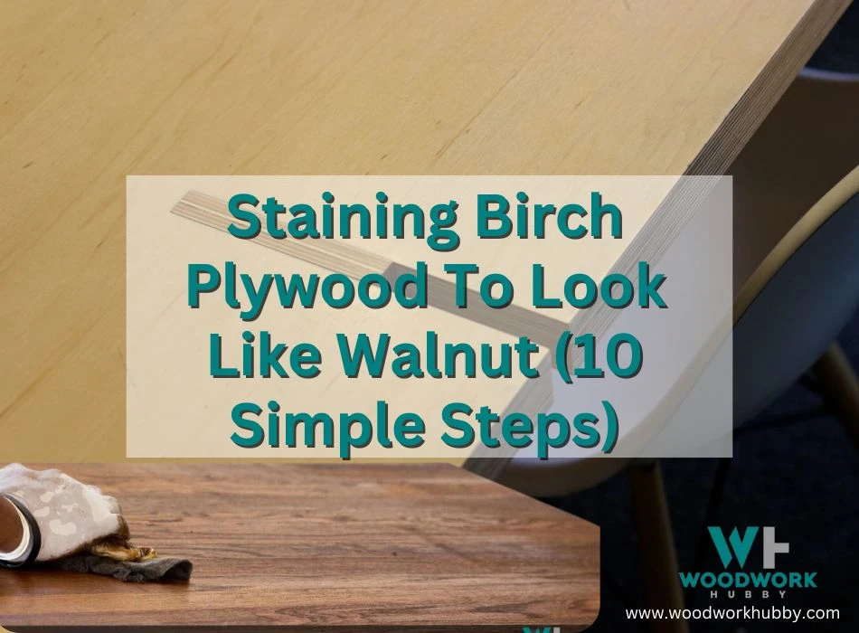 Staining Birch Plywood To Look Like Walnut (10 Simple Steps)