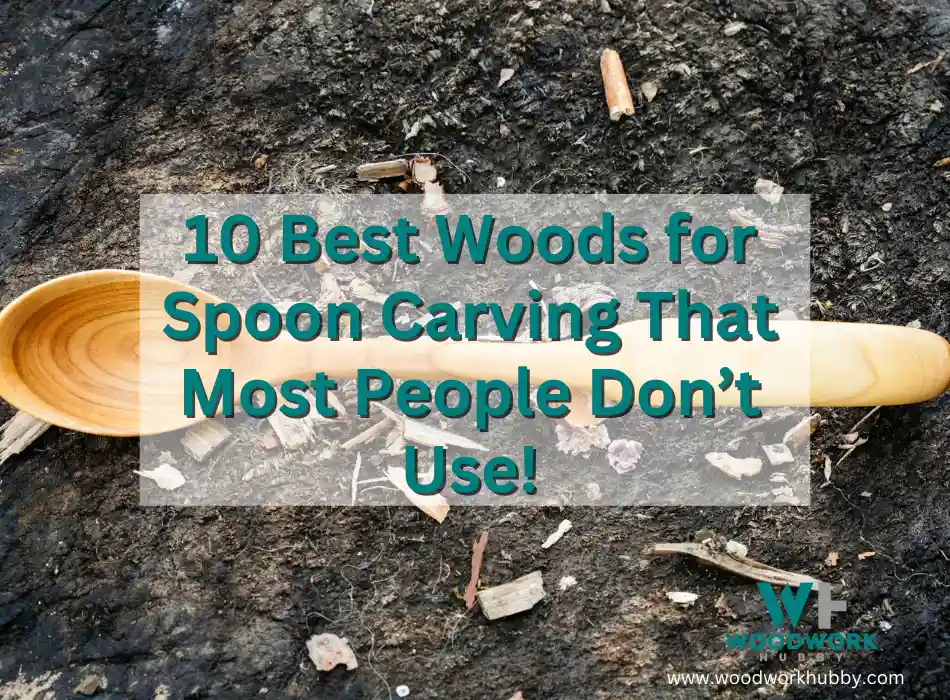 10 Best Woods for Spoon Carving That Most People Don’t Use