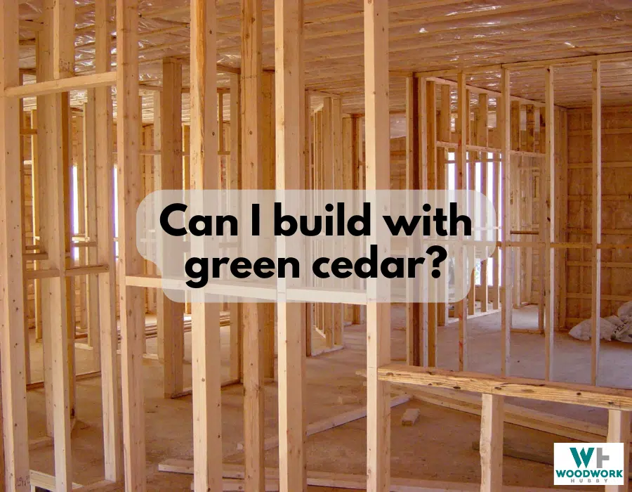 Can You Build With Green Cedar? 10 Things I Learnt