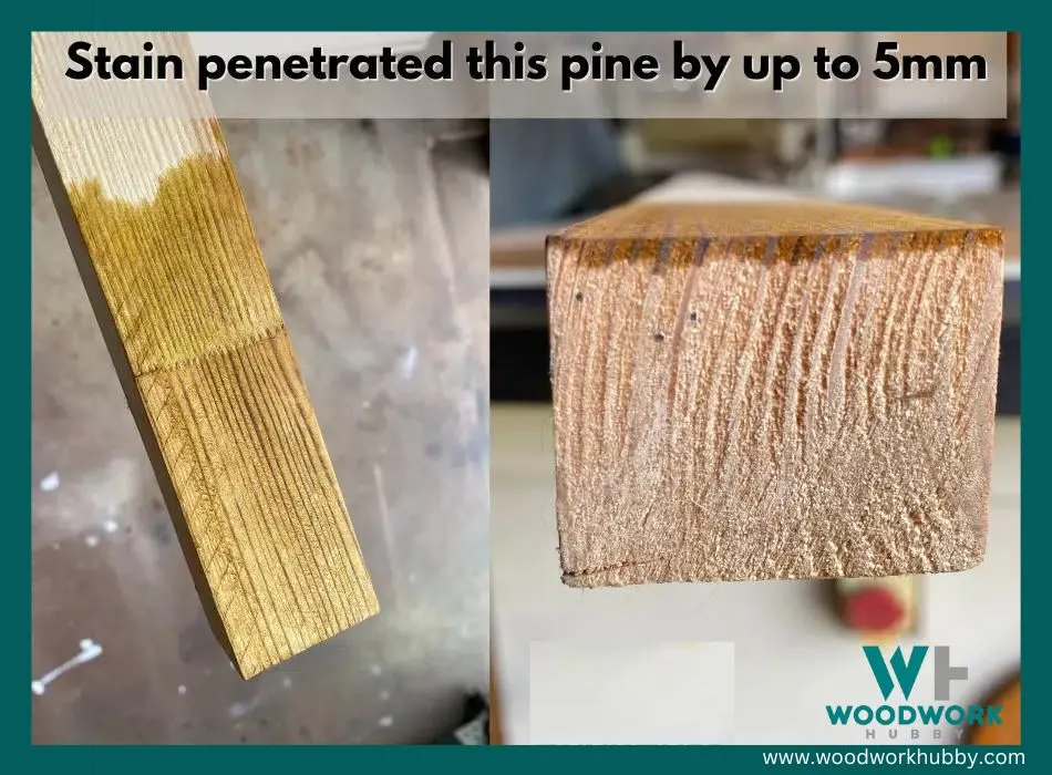 Stain penetrating pine wood