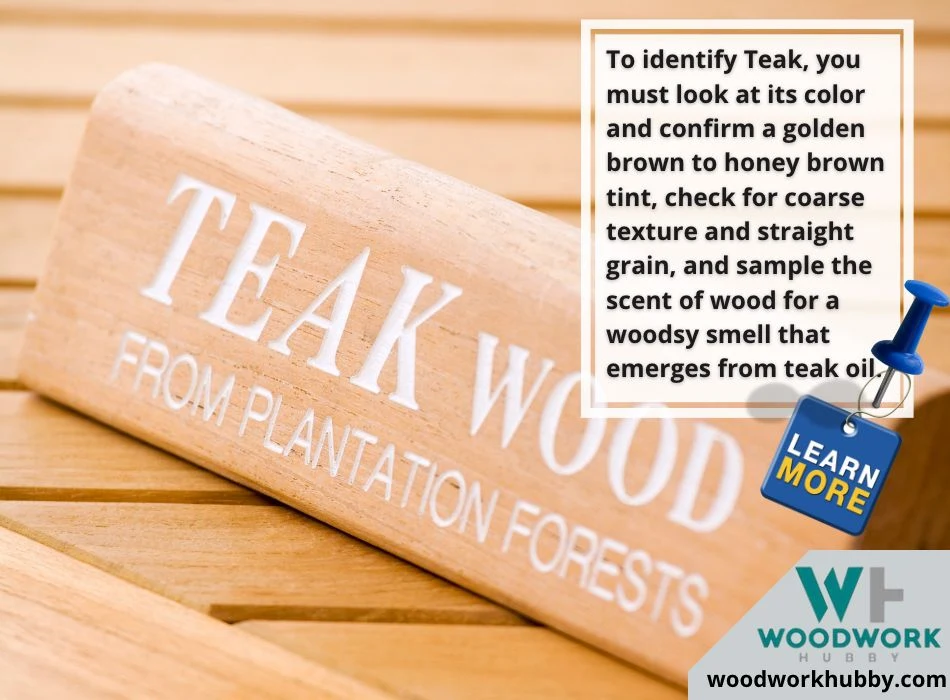 Identifying a Teak Wood