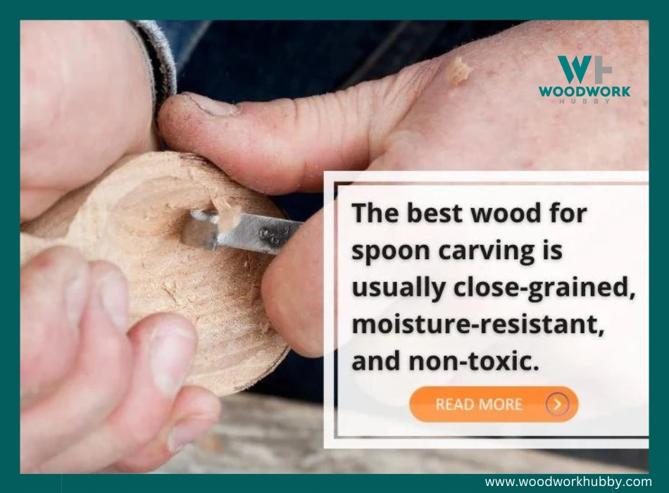 best wood for spoon carving 