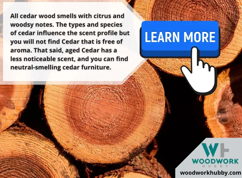 does cedar wood smell