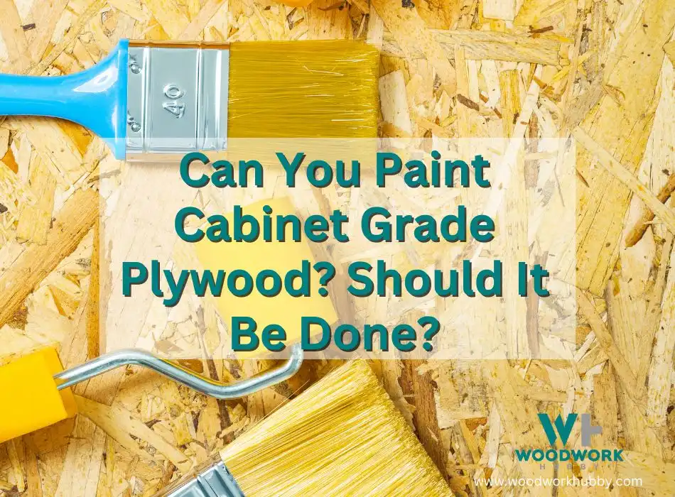 Paint a Cabinet Grade Plywood