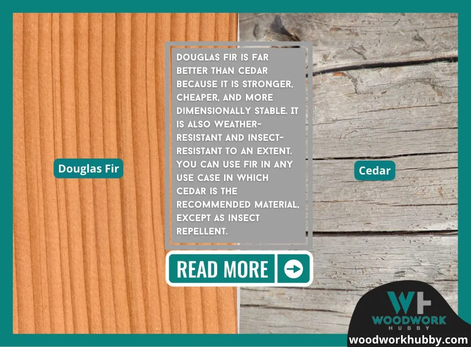 Cedar Vs Douglas Fir (One Is Far Better, Read Why) 2 Douglas Fir vs Cedar