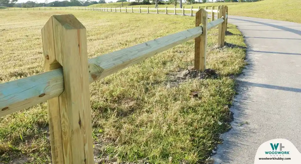 A fence made from pressure treated wood