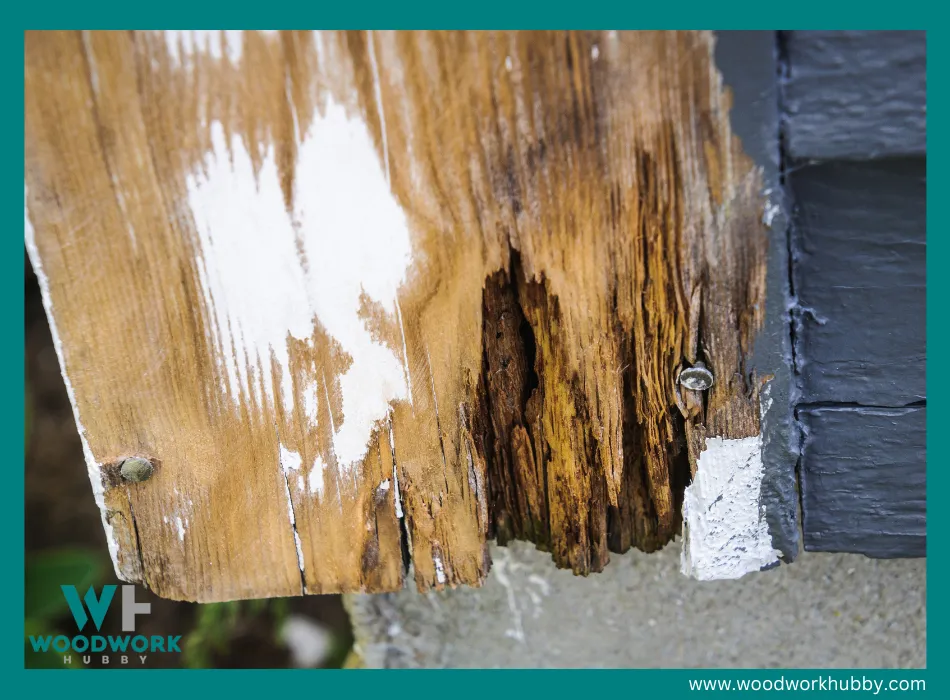 Rotted wood on a wall