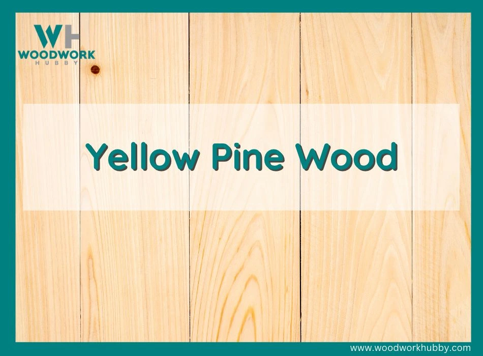 Yellow pine wood