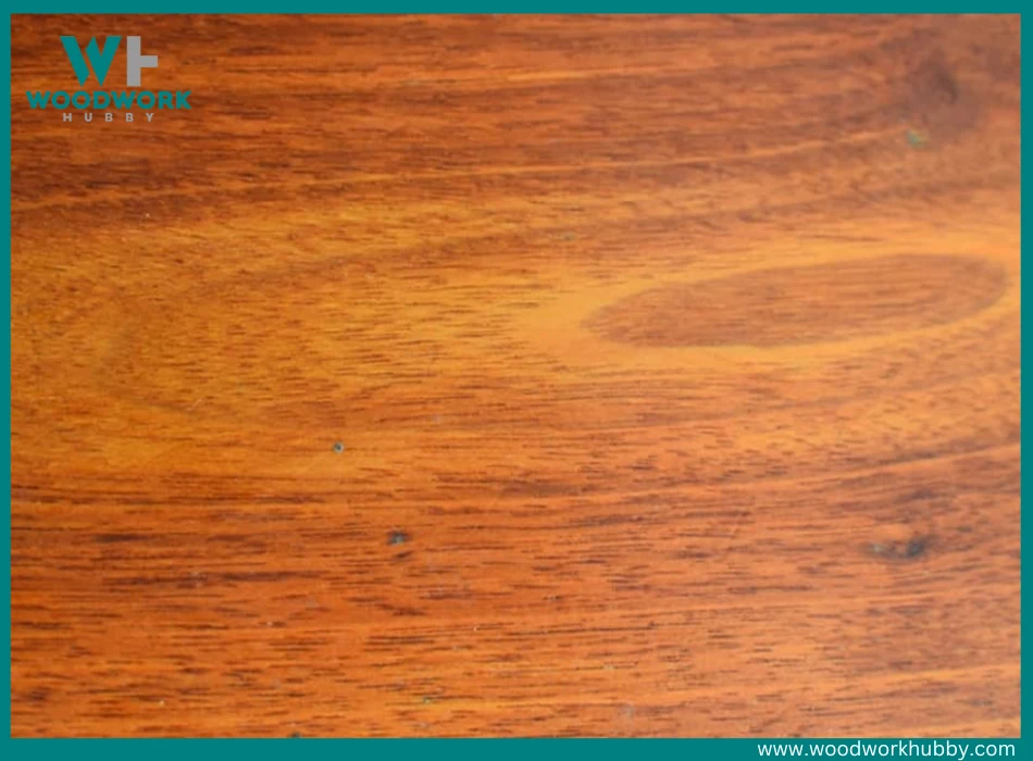 Chinese Teak Wood