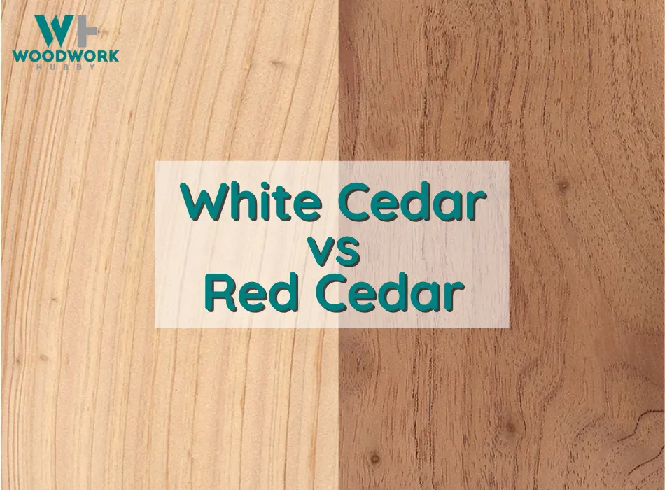 Red Cedar vs White Cedar differences