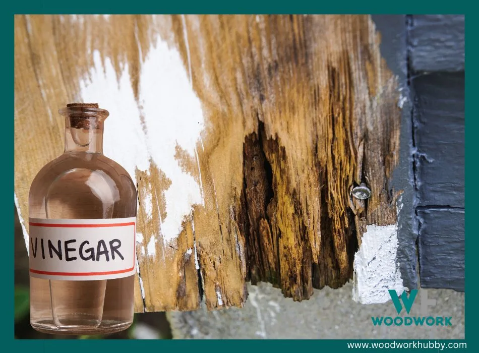 vinegar to stop wood rot.