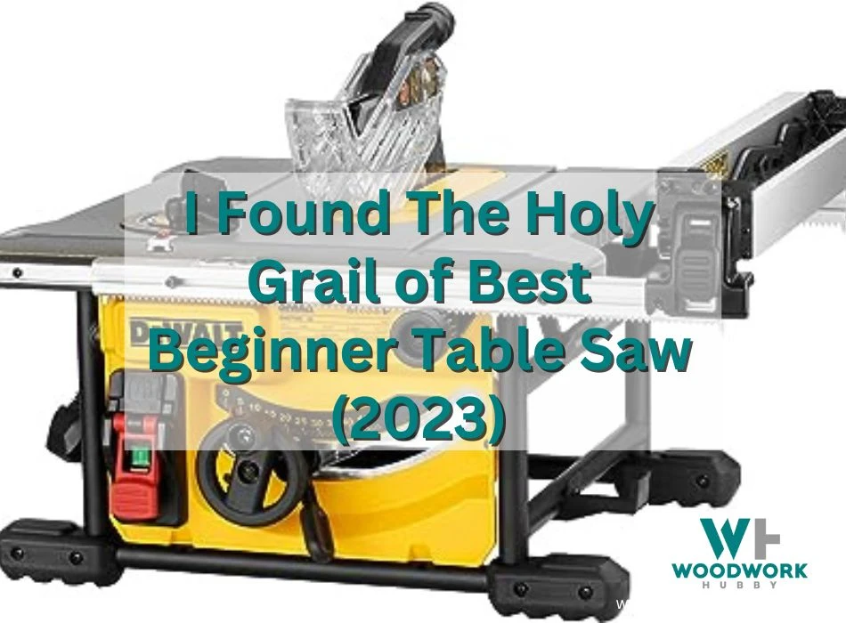 I Found The Holy Grail of The Best Beginner Table Saw (2023)