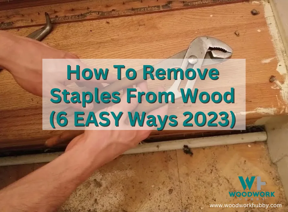 remove staples on wood