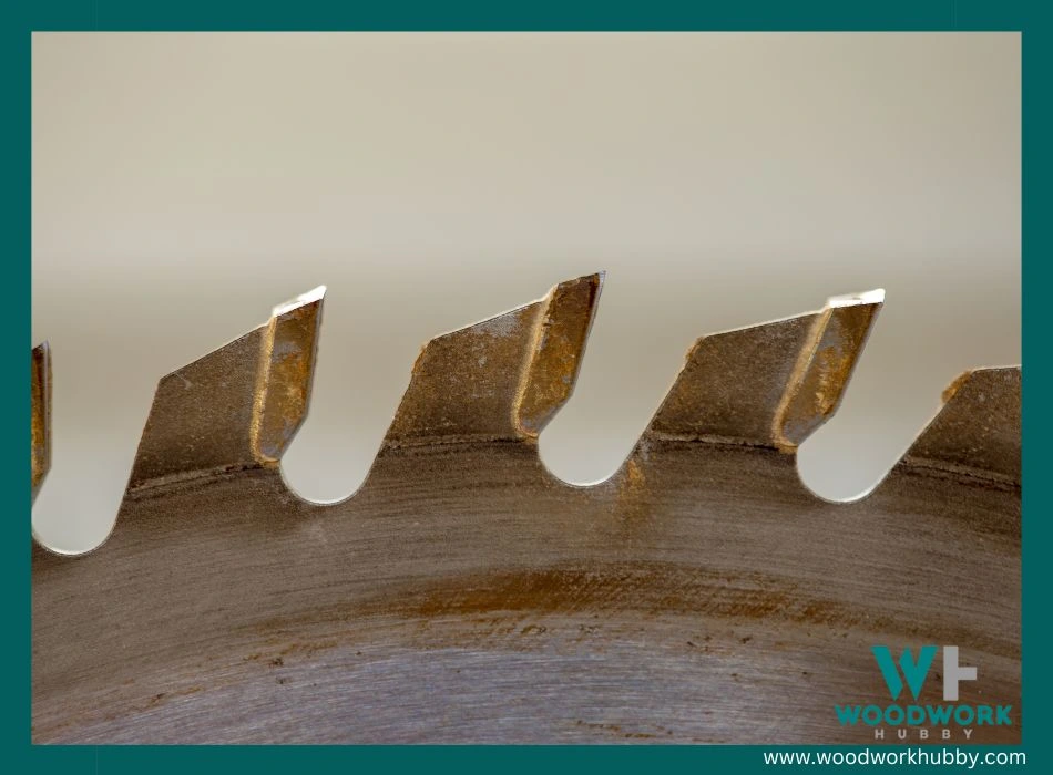 maintain table saw blade