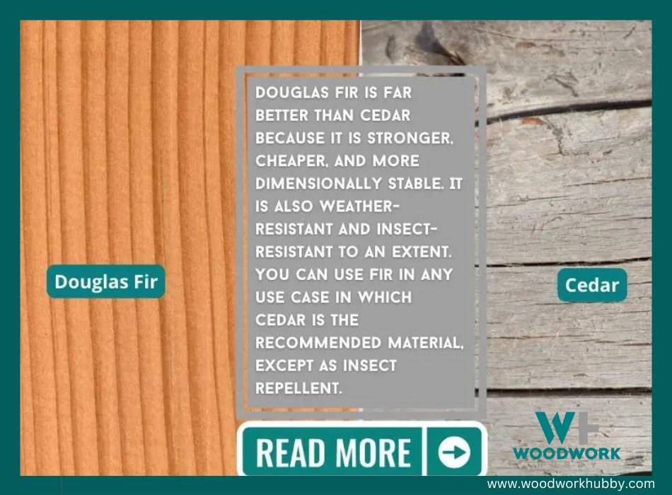 douglas fir vs cedar